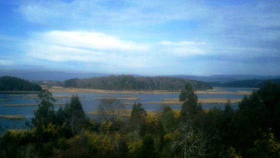 Contaminación fluvial en Valdivia: una historia de postergaciones pactadas