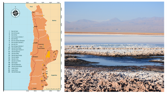 Salares y litio en ecosistemas frágiles