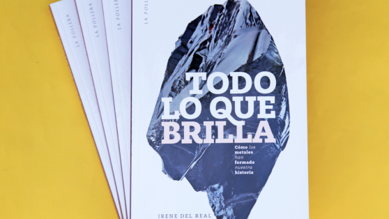 Libros: «Todo lo que brilla» - extracto