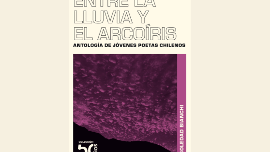 Libros: Las páginas en blanco de Roberto Bolaño