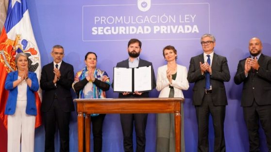 El acento punitivo: potencial efecto negativo de las leyes sobre seguridad