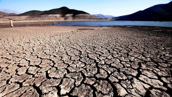 Adelanto del libro “El negocio del agua: cómo Chile se convirtió en tierra seca"