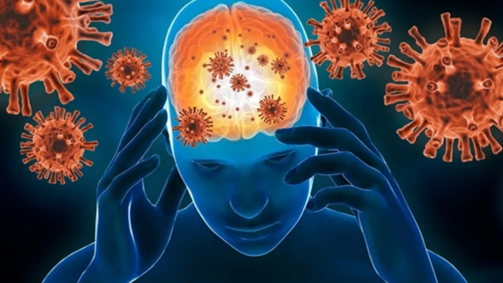 Neuroinvasión del SARS-CoV-2: consecuencias a largo plazo
