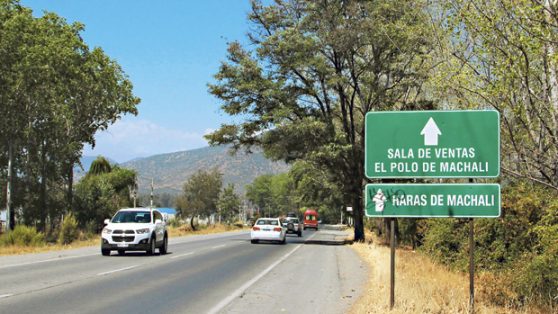 Caso CAVAL: El sospechoso historial del destituido director de Obras de Machalí 