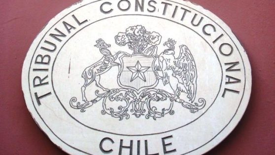 Un pequeño monstruo llamado Tribunal Constitucional