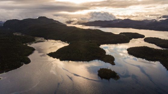 Paciencia que vale oro: el ingeniero que esperó dos décadas para hacer caja con el agua de la Patagonia