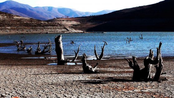 Enfrentar la sequía con una regadera: carretera hídrica, riesgos sistémicos y desafíos de política pública