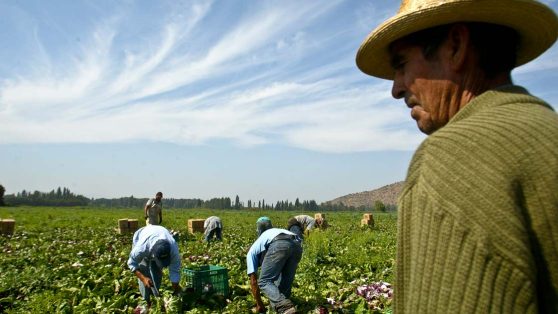 Alimentos Indígenas después de 1492: Desde la discriminación a su promesa de futuro