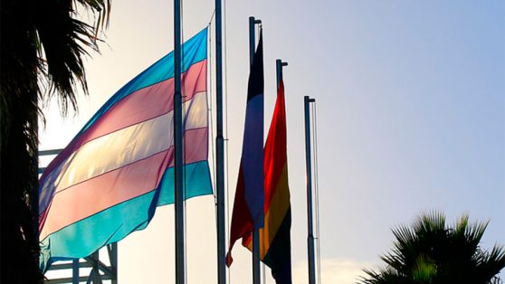 Evidencia, experiencia y cartas transafirmativas: las contradicciones del programa «Crece con Orgullo»