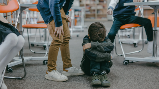 Cómo afecta la violencia escolar: la percepción de inseguridad en los colegios