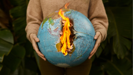 Día Internacional contra el Cambio Climático: la escuela como infraestructura crítica y aula viva