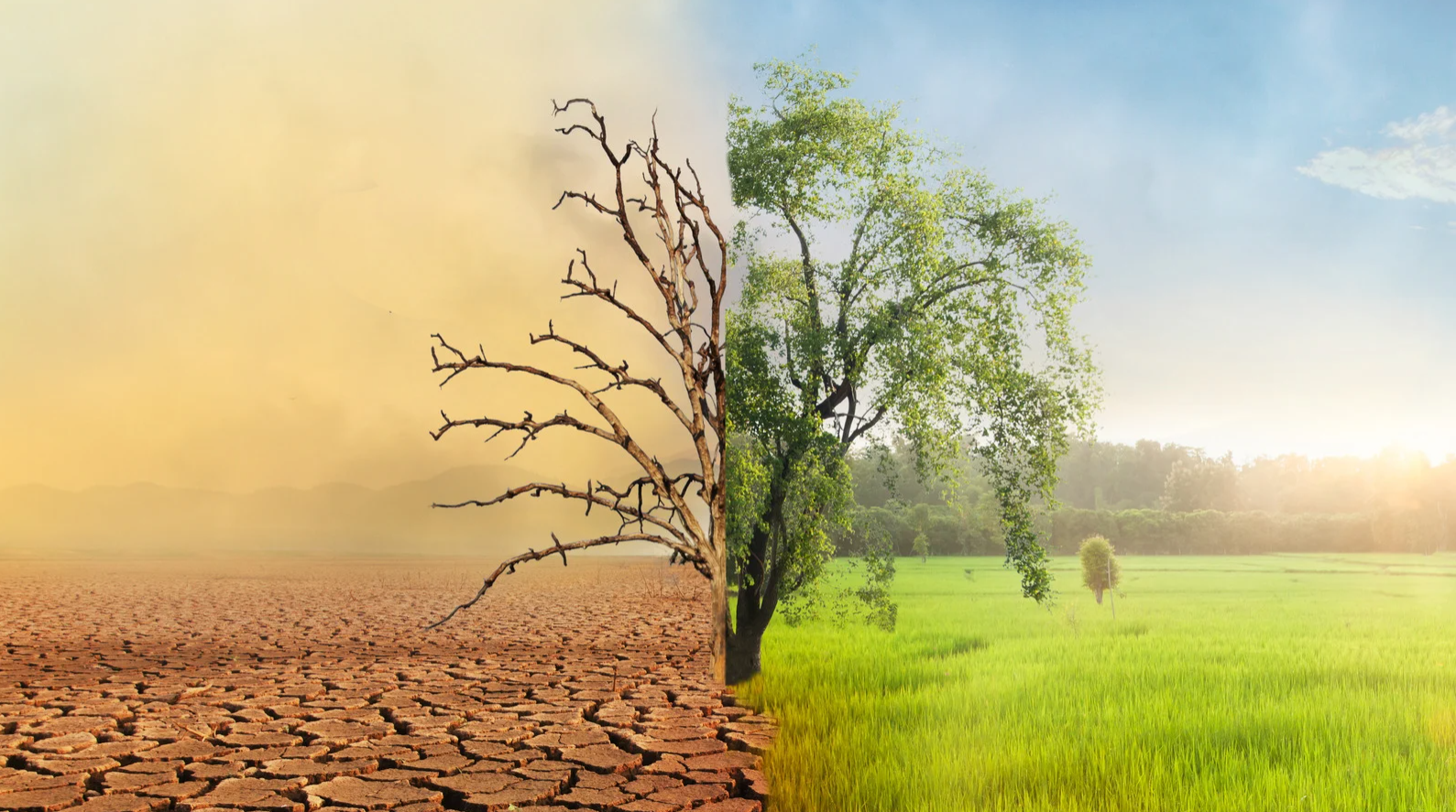 El clima nos define: la urgencia de educar para enfrentar la crisis climática