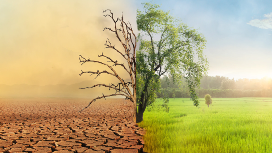 Chile y sus dudas climáticas: el caso de los Planes de Acción Comunal