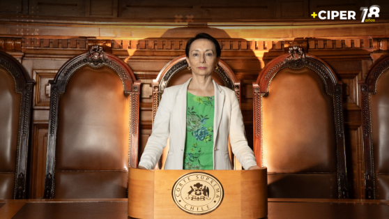 Chevesich: “Puedo asegurar que cada denuncia de faltas a la probidad que me llegue, incluso si son anónimas, las voy a llevar al pleno”