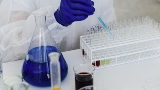 "Nullius in verba": la ciencia y la política