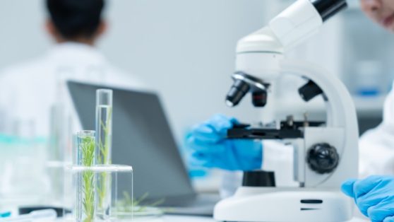 Cuando la investigación empieza a bailar con el autoritarismo