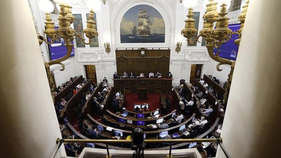 Nueva Constitución: subsidiariedad, Estado social y Comisión de Venecia