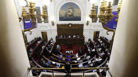 Nueva Constitución: subsidiariedad, Estado social y Comisión de Venecia