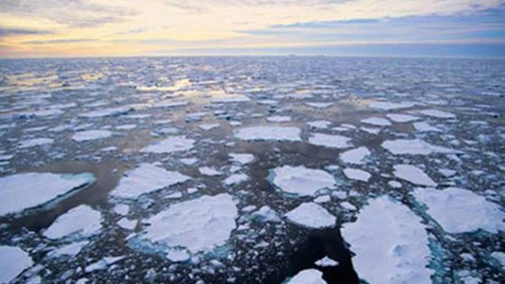 El mundo no tan verde de las multinacionales del medioambiente