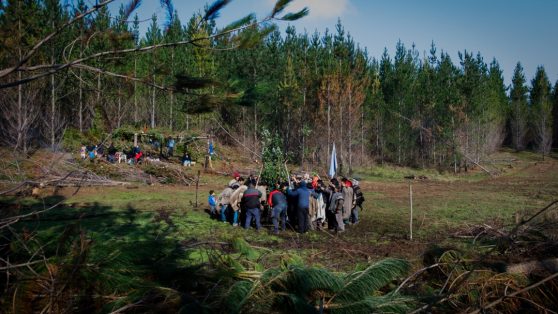 Tierras indígenas, expropiación y desarrollo