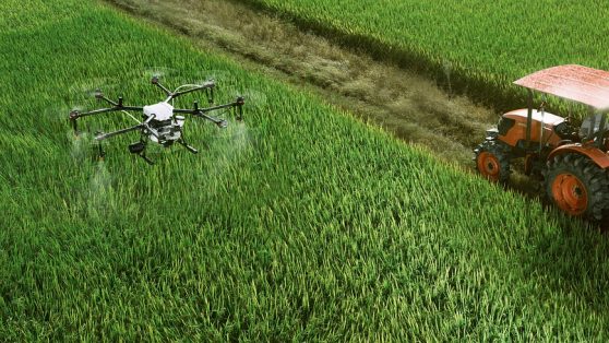 Empresas extranjeras “desovan” en Brasil pesticida prohibido en sus propios países
