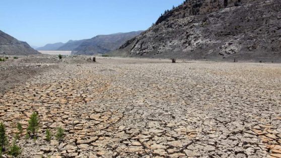 Escasez hídrica: sin naturaleza no hay agua