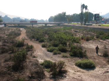 Se muere el río Copiapó (I): Consumo humano, agrícola y minero están en riesgo