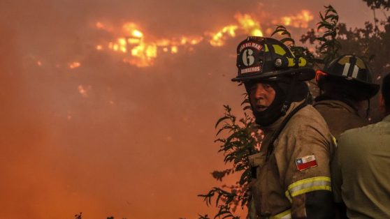 Megaincendio en Viña del Mar: ¿tragedia fortuita?