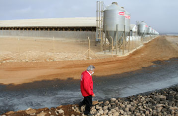 Detectan alto nivel de mercurio en agua destinada al consumo de los cerdos de Agrosuper en Freirina