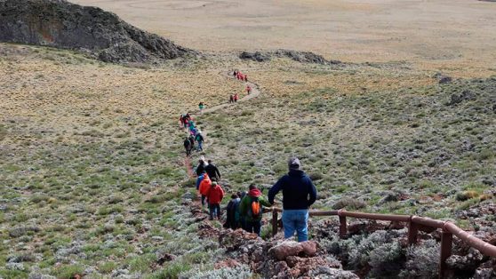 ‘Ambiente’ y ‘medio’ no son sinónimos. Conceptos precisos en el debate medioambiental