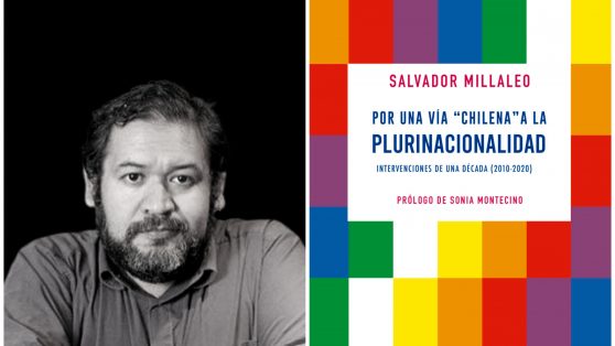 Libros: Plurinacionalidad, ¿pluriproblema?