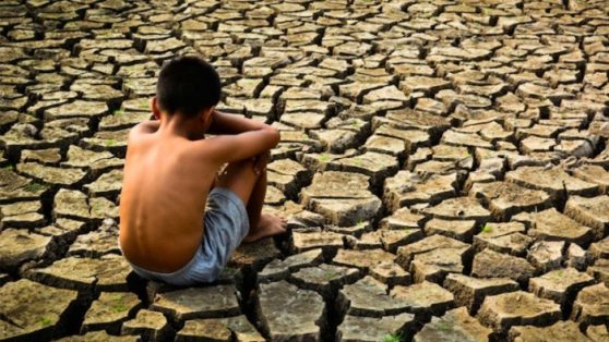 Los muertos de nadie: desplazados por cambio climático, inmigrantes y defensores del territorio