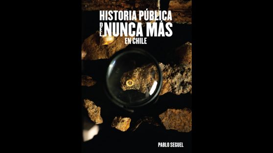 «Historia pública del Nunca Más en Chile»: extracto de libro