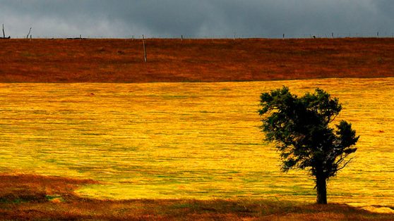 Ley Marco de Cambio Climático: construyamos una institucionalidad con capacidad transformadora