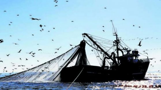 La Ley de Pesca hace aguas