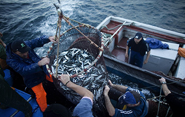 Las evidencias de los pagos políticos de las pesqueras del sur