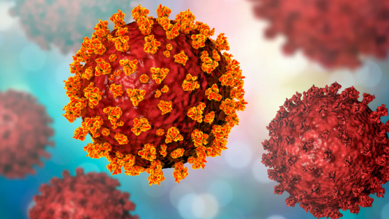 ¿Qué sabemos sobre la nueva variante del coronavirus?