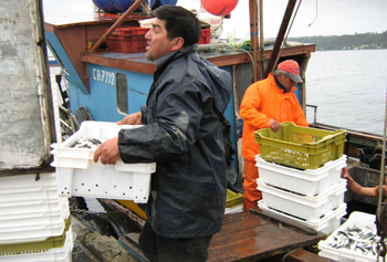 ¿Acuerdo pesquero o acuerdo entre empresas pesqueras?