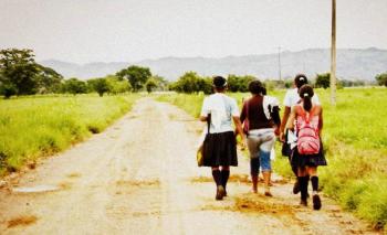 Histórico fallo en Colombia sobre restitución de tierras usurpadas por paramilitares