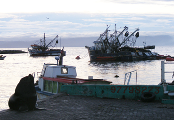 Los nueve dueños del mar chileno