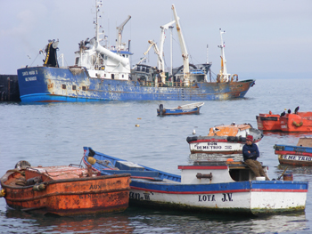 Sin control, gigantes pesqueros diezman el Pacífico Sur