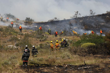 Incendios forestales: Degradación y destrucción de bosques nativos