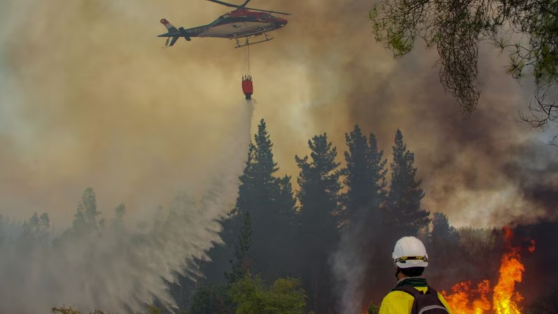 Tres propuestas contra la catástrofe del fuego