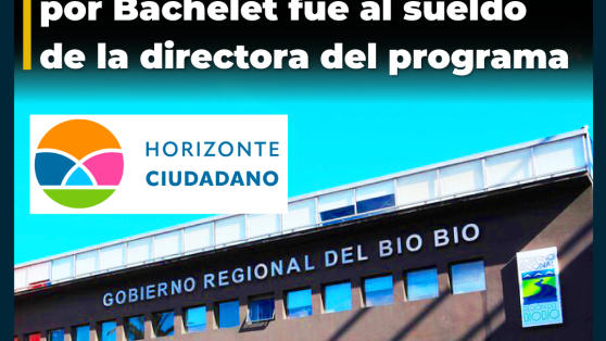 Auditoría a GORE del Biobío detecta que 10% de convenio con fundación creada por Bachelet fue al sueldo de la directora del programa