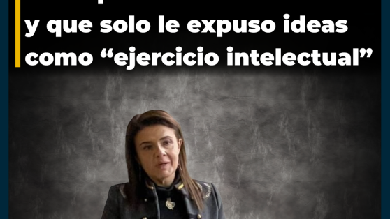 Exjueza Sabaj declaró que no asesoró a Hermosilla en caso que afectaba a Piñera y que solo le expuso ideas como “ejercicio intelectual”