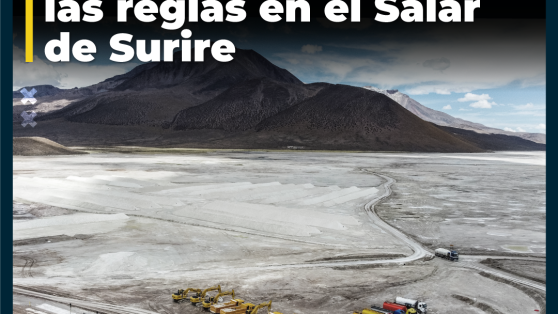 La fórmula de minera Quiborax para saltarse las reglas en el Salar de Surire