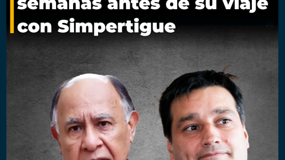 Abogado Mario Vargas pagó $12,5 millones a empresa del crucero semanas antes de su viaje con Simpertigue