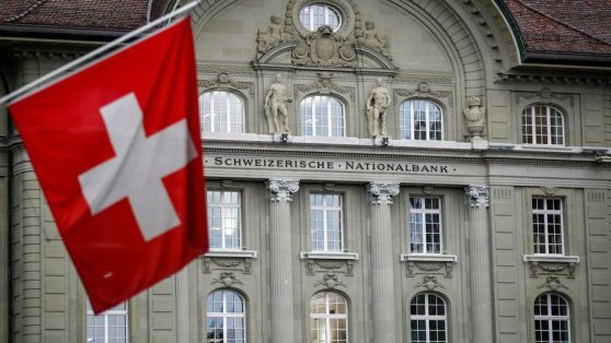 «Bordes» constitucionales y el ejemplo de Suiza