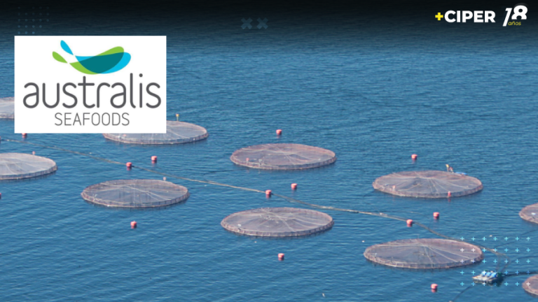 Correo de Australis revela que pretendía compensar sobreproducción de salmones disminuyendo cultivos en centros sin operaciones