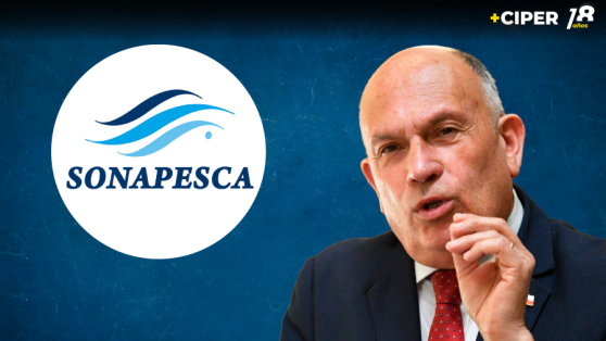 Ley de Pesca: comisión aprobó 60 indicaciones presentadas por el diputado Bobadilla que son idénticas a propuestas de la gremial Sonapesca